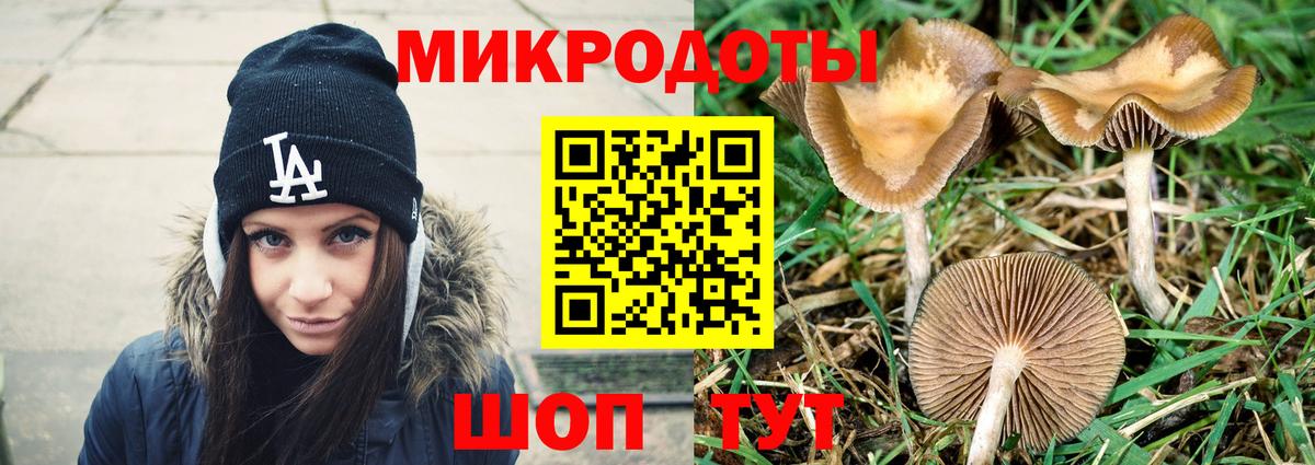 Пенза  Псилоцибиновые грибы мицелий  Псилоцибиновые грибы мухоморы  Вход с VPN 